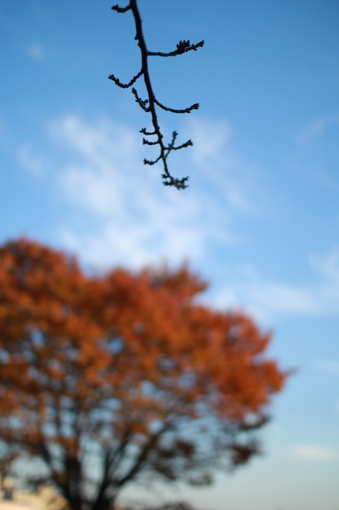 公園