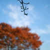 公園