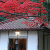 画像 089