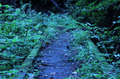橋。緑化。
