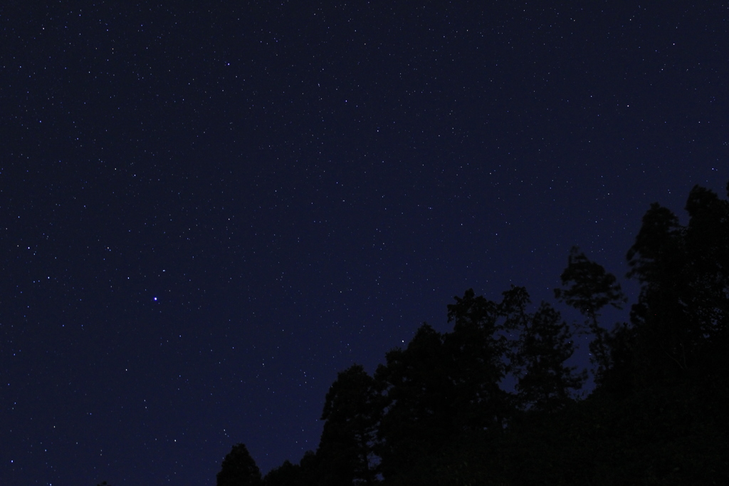 今宵は満天でした。