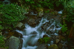 DSC_0720