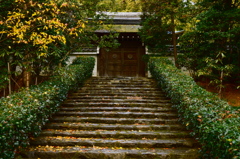 階段と扉