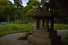 緑