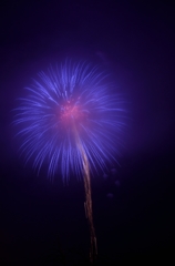 雨の花火
