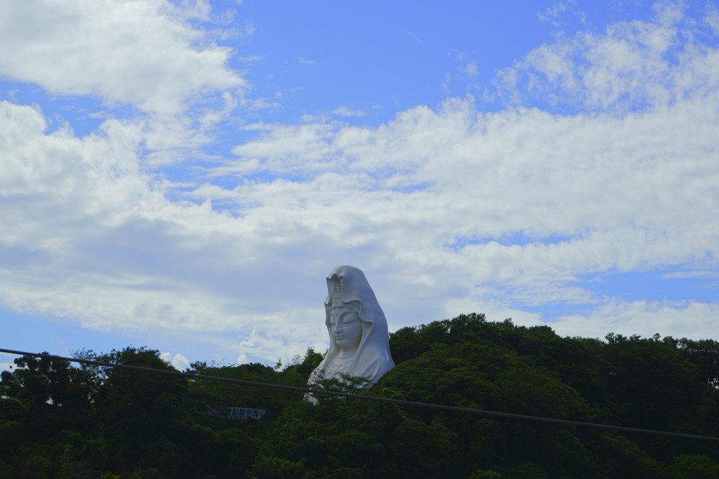 木が鬱蒼としてちょっと切ってほしそうな大船観音