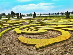 The swirling vortex in the park