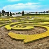 The swirling vortex in the park