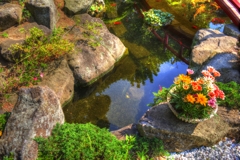 鎌倉のわらび餅屋さんの池と反射