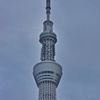 Sky Tree on a cloudy goodbye