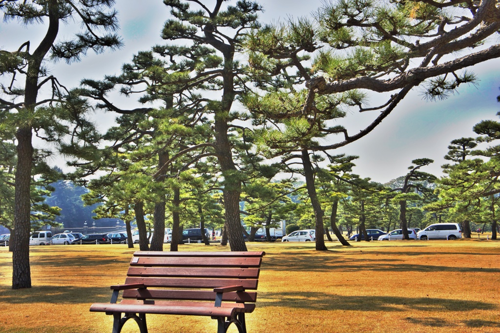 天気が良いと皇居のお堀を散歩したくなる