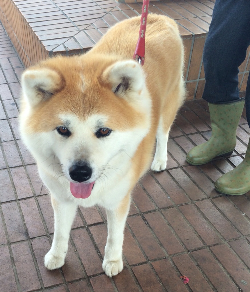 笑ってる？