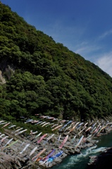 大歩危峡を泳ぐ鯉5