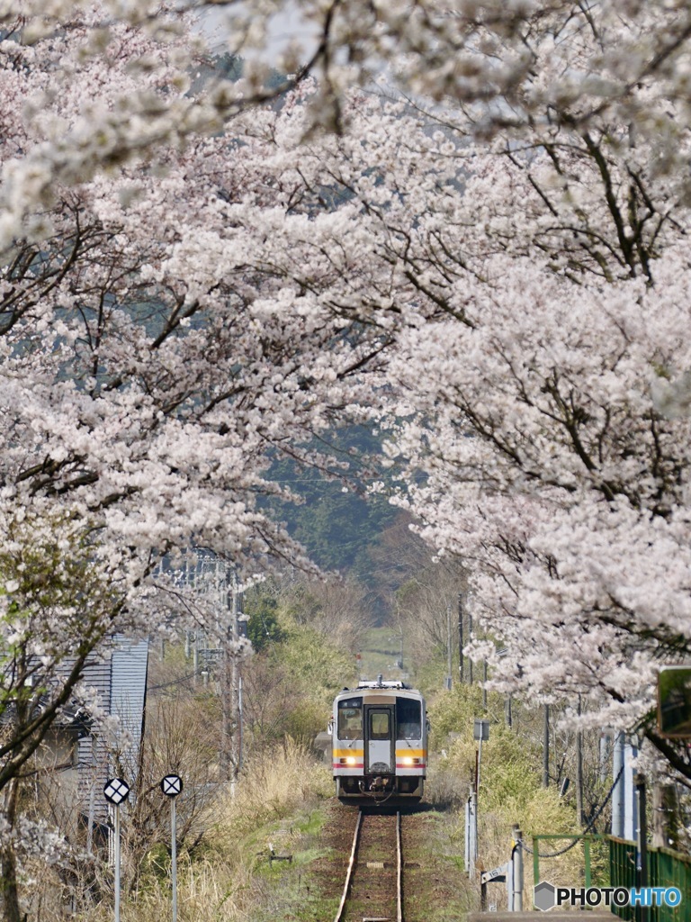 アーチに向かって