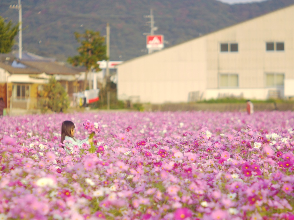 花摘みの少女、その２