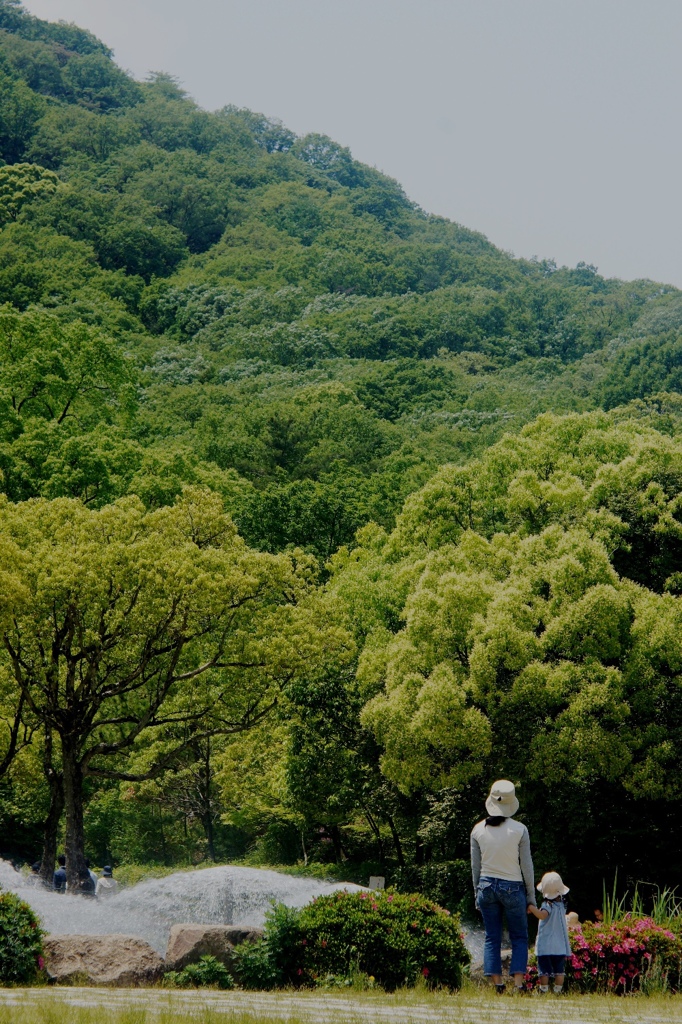 2014.5新緑の中