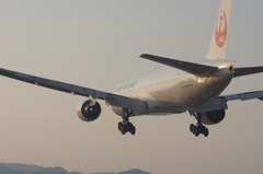 夕日を浴びて2