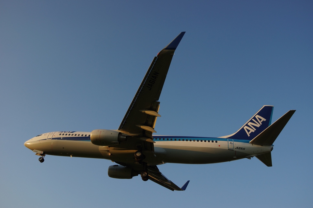 ANA　737?
