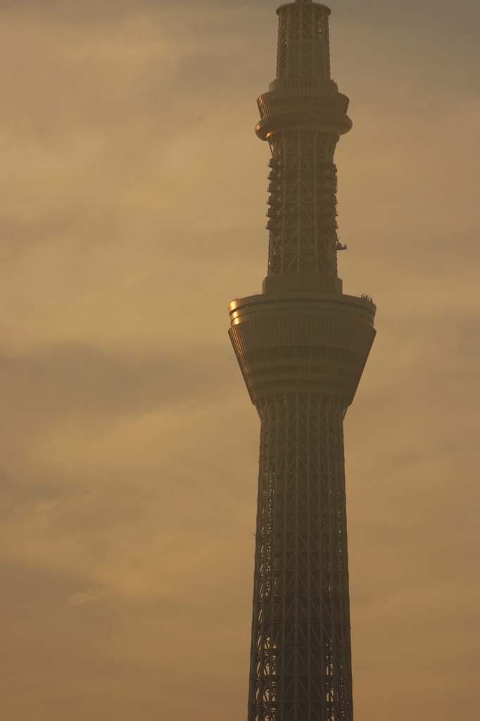 武蔵（六三四）の朝