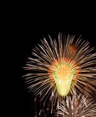 Fire flower