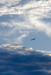 sky in august