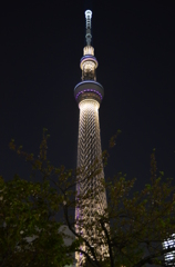 スカイツリー　夜景
