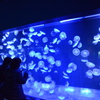 すみだ水族館-1