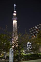 スカイツリー　夜景