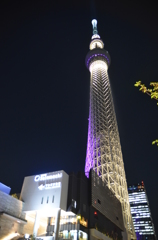 スカイツリー　夜景