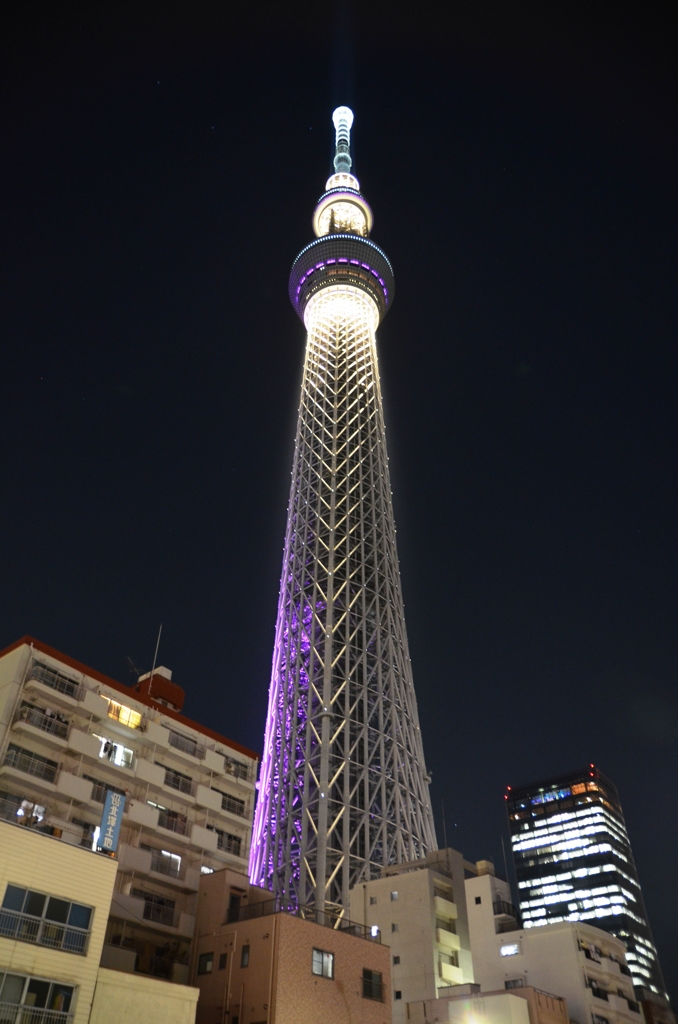 スカイツリー　夜景