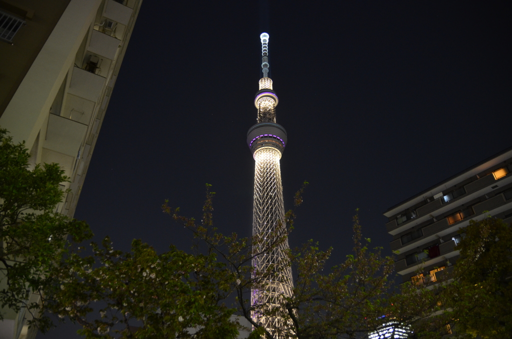 スカイツリー　夜景