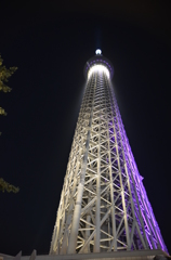 スカイツリー　夜景