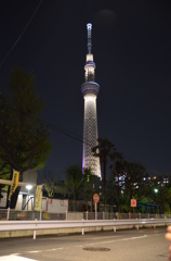 スカイツリー　夜景