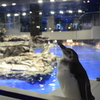 すみだ水族館-3