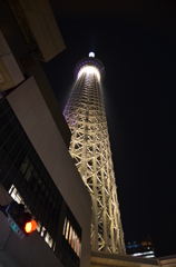 スカイツリー　夜景