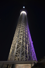 スカイツリー　夜景