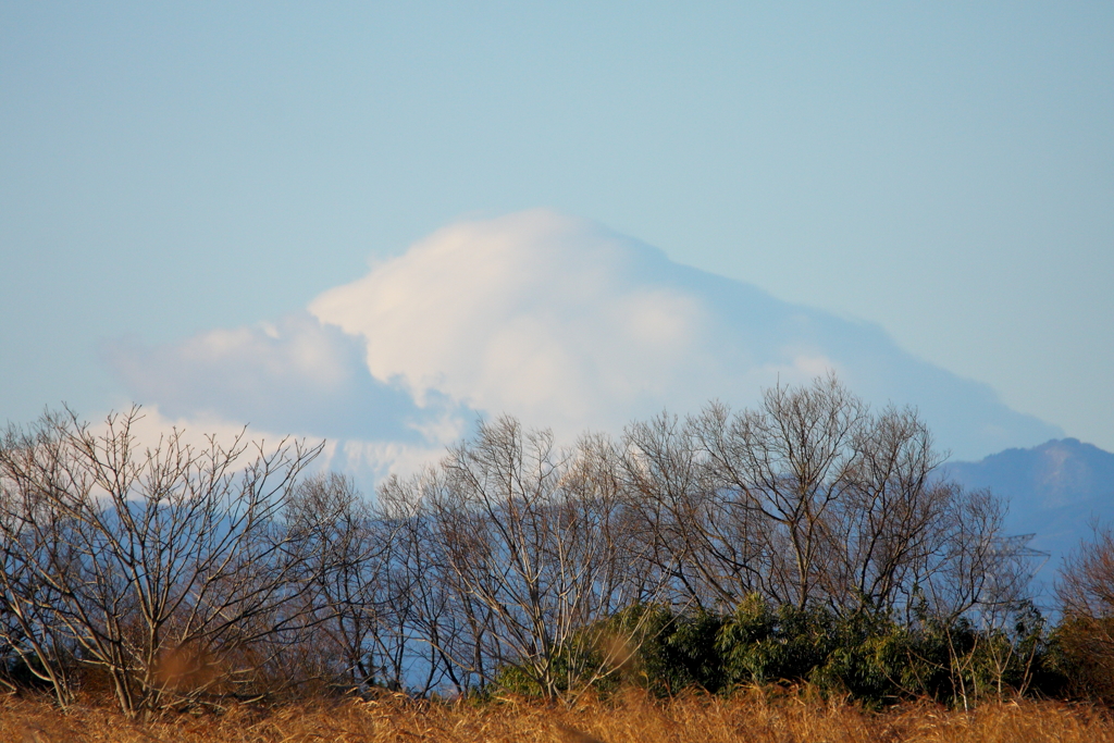 マシュマロ富士山