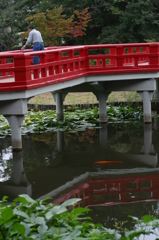 池