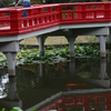 池