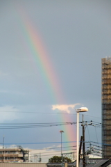 街の虹