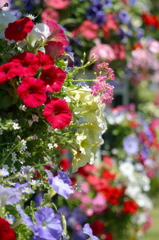 花垣