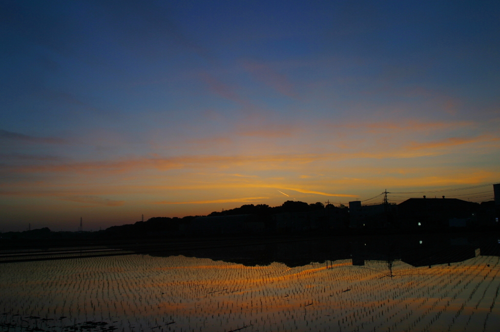 田植え後の夜明け