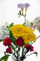 卒業の花