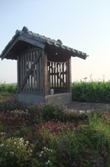 早春の祠