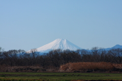 富士山遠望