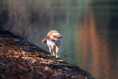 瀬戸際も平気さ