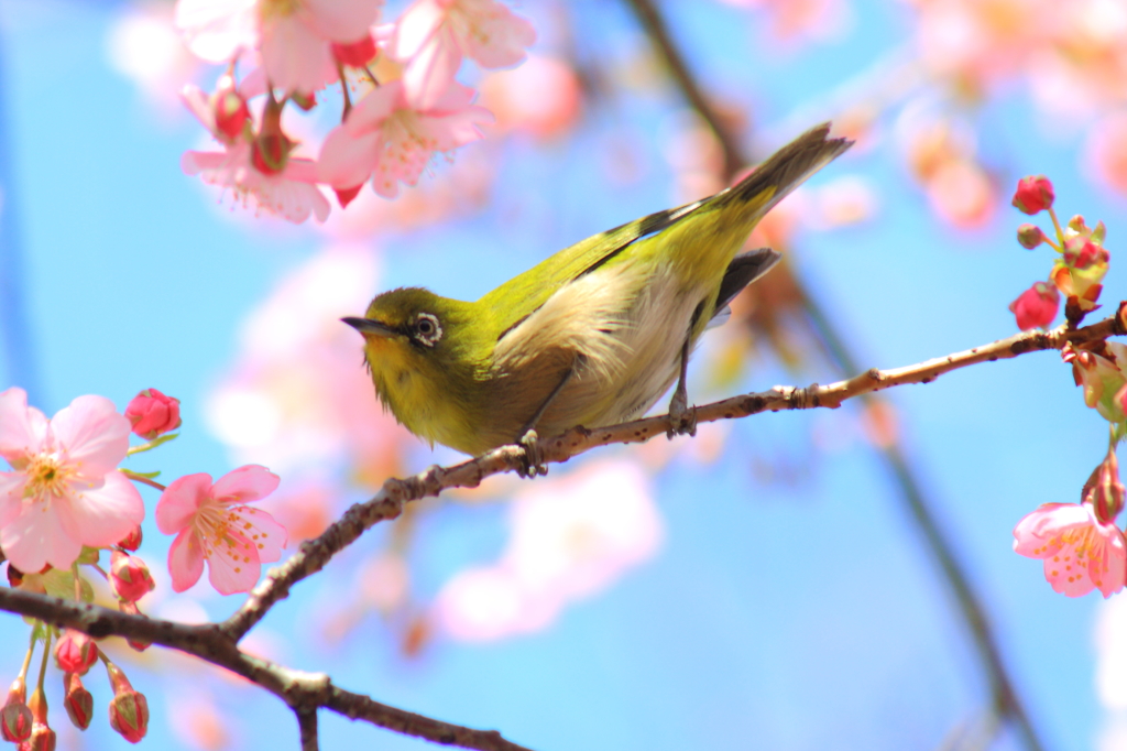 ふりむいて