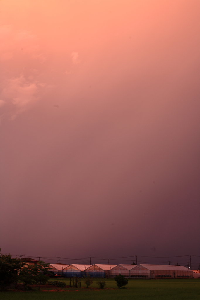 夕雲