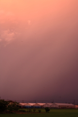 夕雲
