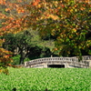 秋の石橋